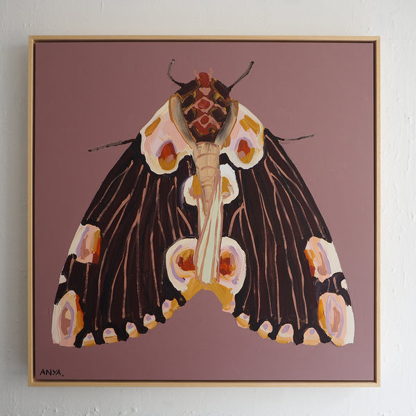 'Moth #11'