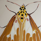'Moth #2'