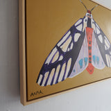 'Moth #4'