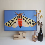 'Moth #6' CANVAS PRINT