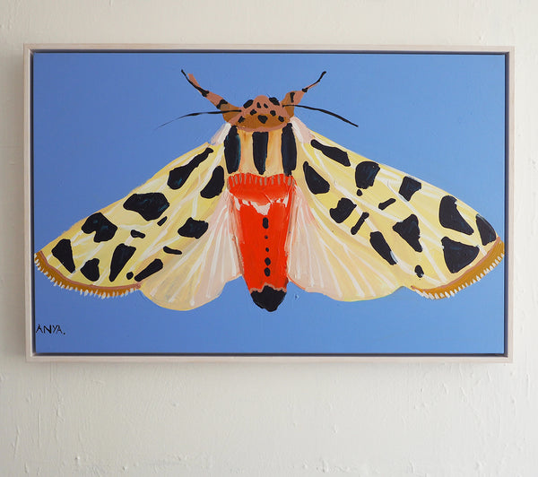 'Moth #6'