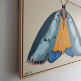 'Moth #7'