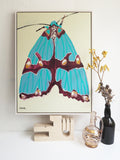'Moth #8' Paper PRINT